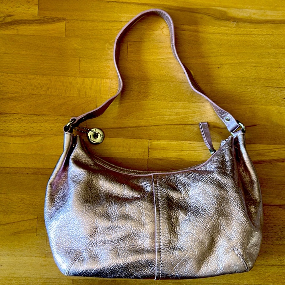 Sak Metallic purse